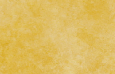 P7005