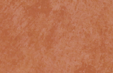 P7006