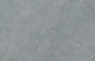 P7009