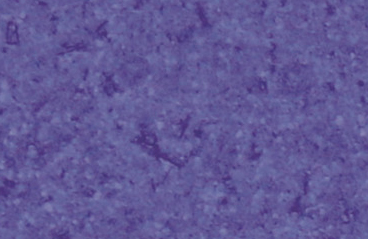 BE204013