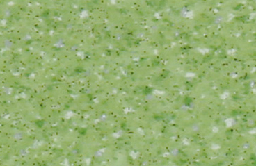 245-008