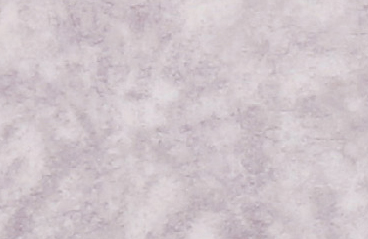 BQ66261