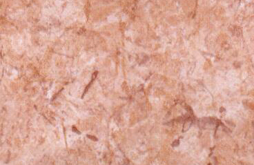 SL225501