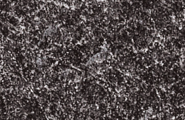 N1022-8