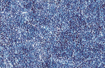 N1022-9