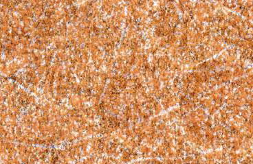 D806