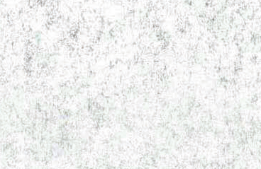 D811