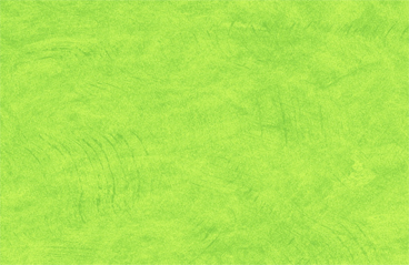 N2005