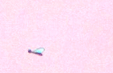 KT2203