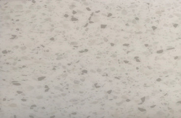 E8806