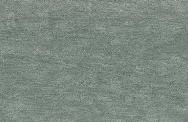 E9901